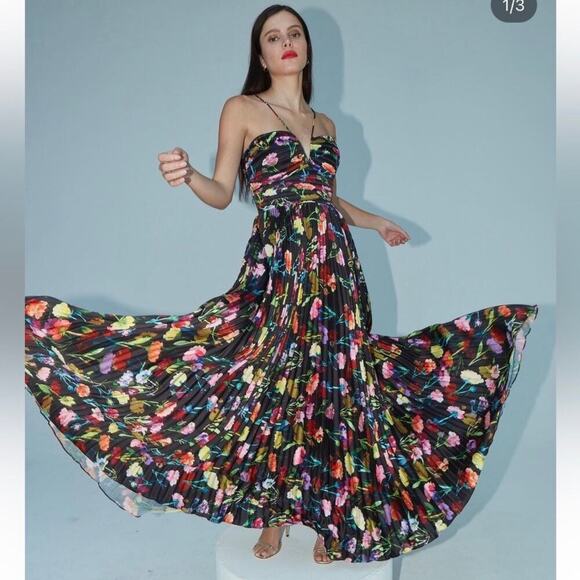 Dresses & Skirts - Aiifos Adriana pleated floral Gown Size 6